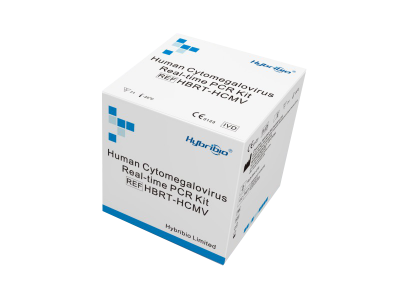 Human Cytomegalovirus Real-time PCR Kit