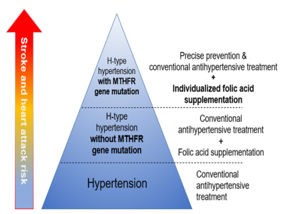 New Product Launch - Hybribio MTHFR Gene MCA Real-time PCR Kit Approved by NMPA